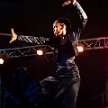 flamenco (100)